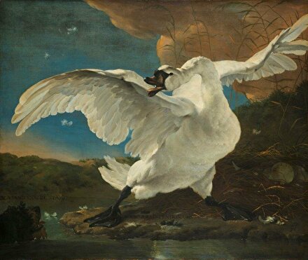 bedreigdezwaan zwaanschilderij zwaan swan ginvi ginviart artgallery Johandewit