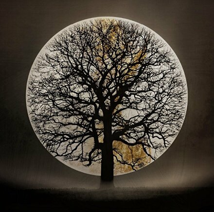 abstract schilderij boom, boom kunst zwart goud, kunst met bladgoud, luxe wanddecoratie, modern schilderij goud zwart, epoxy kunstwerk, boom silhouet kunst, rond schilderij boom, groot schilderij 100x100, exclusieve kunst woonkamer, design wanddecoratie, abstracte natuur kunst, gouden accenten schilderij, handgemaakt kunstwerk, high end wall art, kunst met epoxy afwerking, luxe interieur kunst, minimalistisch boom schilderij, zwart goud kunstwerk, statement kunst woonkamer