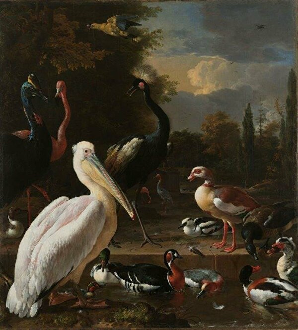 Paleis HetLoo WillemIII Mary drijvendveertje Melchior d'Hondecoeter oudemeesters rijkmuseum ginvi ginviart artgallery roetterdam art