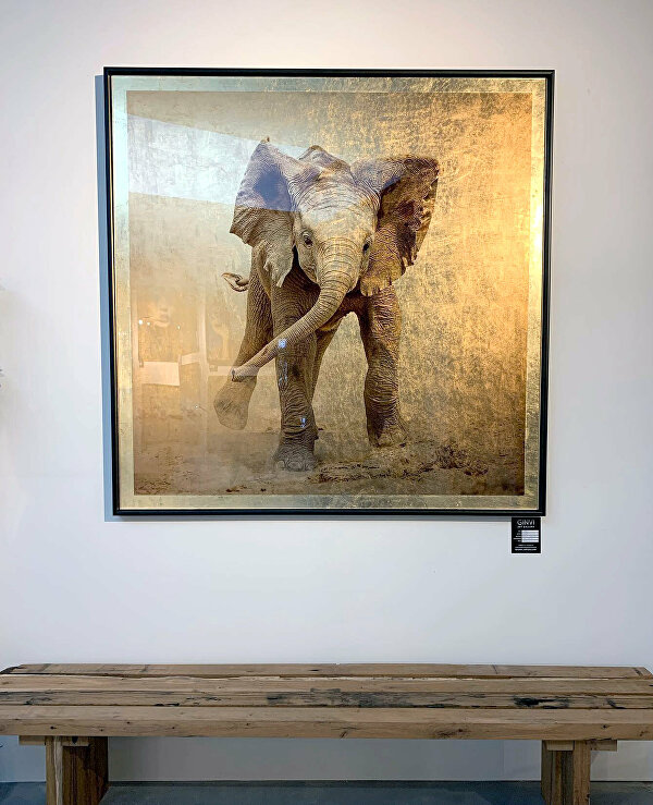 Elephantart structuurschilderij 3dschilderij rijk 3dkunstwerk 3dkunst 3dwallart  goudenolifant  dollarschilderij  Goldleaf Bladgoud Goudenkunstwerk Goudschilderij luxekunst handgemaakt limitededition