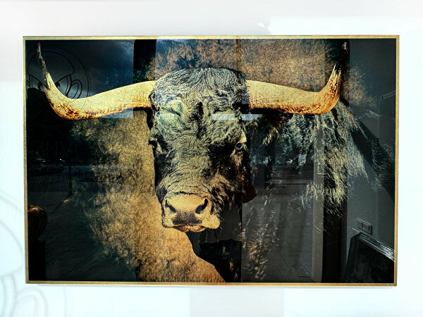 #StierSchilderij  #StierKunstwerk  #BullArt  #Stierenkracht  #KunstMetBetekenis #BladgoudKunst  #EpoxyAfwerking  #GoudOpKunst  #HandgemaaktKunstwerk#KunstKopenRotterdam  #KunstRotterdam  #KunstAlexandrium  #KunstBarendrecht  #KunstCapelleAanDenIJssel