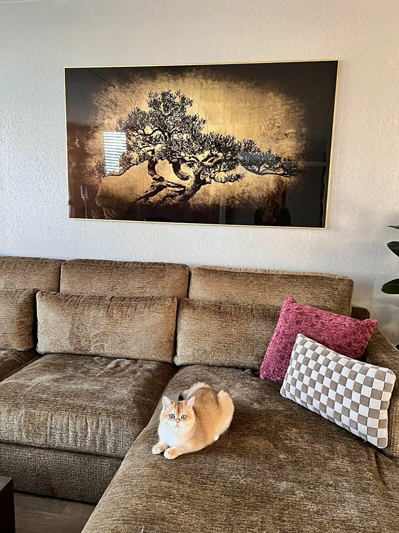 kunst op maat, gouden schilderijen, epoxy, japandi kunstwerk, interieur kunst, unieke wanddecoratie, kunstwerk passend bij bank, kunstwerk aangepast ontwerp, kunst op bestelling, personalisatie schilderij, kleurgecoördineerde kunst, maatwerk.jpg
